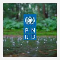 pnud